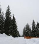 Deutsche Skigebiete: Nur in hohen Lagen ausreichend Schnee