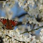 Raus in die Natur: Osterzauber für die ganze Familie