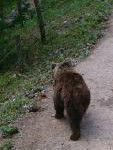 Natur pur im Trentino