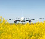 Flughafen Frankfurt: Wasser, Wald und Wiesen erforschen