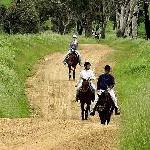 Australien zeigt sich von seiner „Countryside“