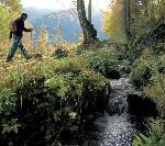 Alpengeschichte bei Suonenwanderungen hautnah erleben