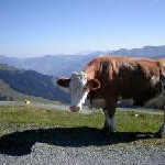 Wildschönau – das Tal der gelebten Traditionen