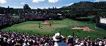 Nedbank Golf Challenge 2008: Sun City zum 28. Mal Austragungsort des Top-Events im Golfsport