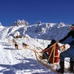 Schlittenhunderennen sorgen für Action in den Schweizer Alpen