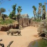 Tierpark Bioparc Valencia feiert sein einjähriges Bestehen