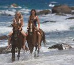 Riding Centre adds to the Seychelles adventure