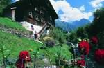 „Tri Alpin“ und grenzenlos Wandern im Tiroler Oberland