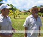 Seychelles on Capital M6 captures French audience