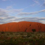 Das Outback wie es leibt und lebt