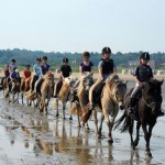 Urlaub im Sattel in Cuxhaven