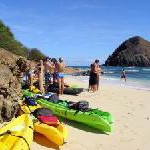 Outrigger Reef on the Beach offers free Waikiki walking tour with master Hawaiian storyteller