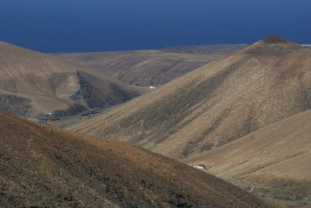 Fuerteventura - Kanarische Inseln, Spanien (07995) Foto: ©Carstino Delmonte (2009)